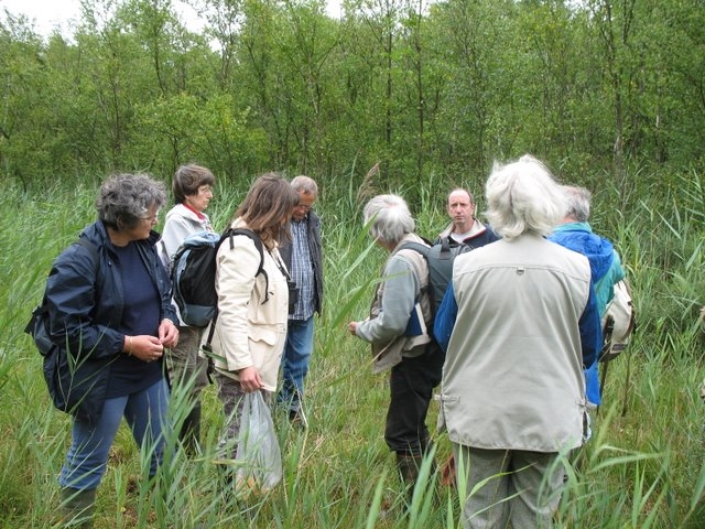 2007 07 Marais du Cerisaie 11